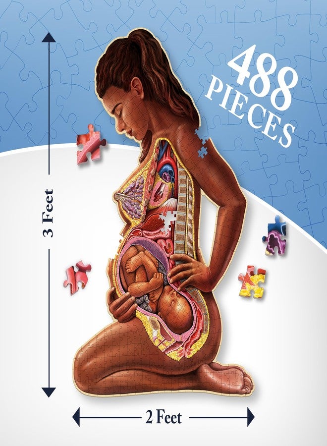 Genius Games Pregnant Mother Anatomy Jigsaw Puzzle | 488-Piece Science Accurate Adult Puzzle | Educational and Entertaining 3ft x 2ft Poster Size Puzzle | Ideal Gift for Mothers, Educators & Medical Professionals - Image 5
